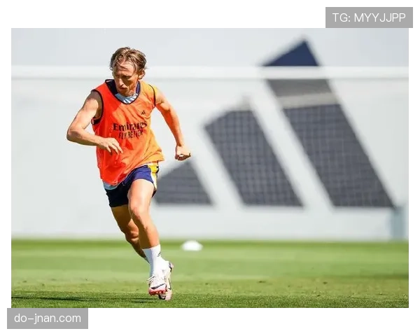 居莱尔与恩德里克：新星成长路径差异与潜力上限解析